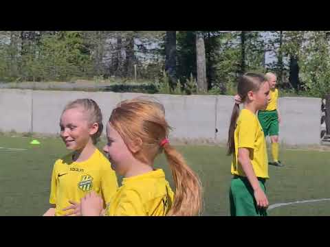 HauPa t13 - ONS t14 keltainen 1/2