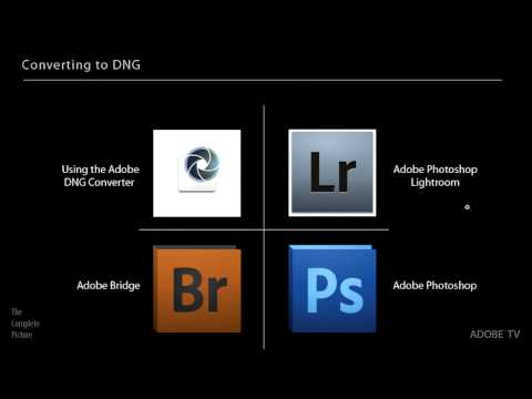 The Advantages of the DNG File Format | Adobe Lightroom