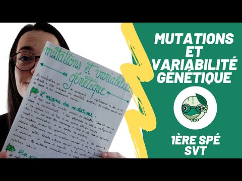Mutations and genetic variability - 1st year of SVT specialization - Madame SVT
