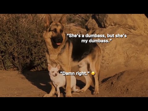 Chloe and Delgado being an underrated duo