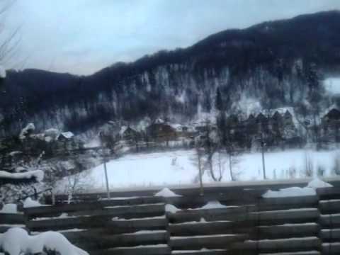 Pensiunea Poiana Verde