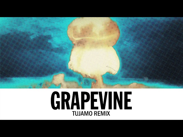 Tiesto - Grapevine (Tujamo Remix)