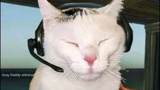 APEX  雑談