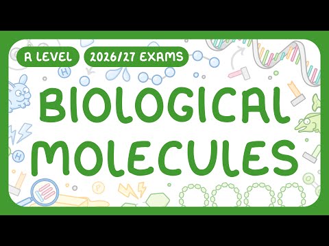 A-Level Biology - Biological Molecules - Carbohydrates | Lipids | Proteins | Nucleic Acids