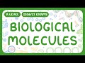 A Level Biology Biological Molecules Carbohydrates Lipids Proteins Nucleic Acids