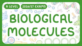 A-Level Biology - Biological Molecules - Carbohydrates | Lipids | Proteins | Nucleic Acids