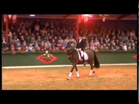 Furst Wilhelm (by Furst Heinrich x Sandro Hit)