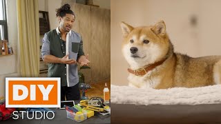 Tackling Projects with Ease: Home Network's DIY Studio Presented by Pet Valu