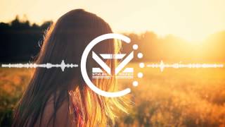 Borgeous &amp; Shaun Frank - This Could Be Love (The Machinist Remix)