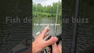 Best feeling ever! How to make a fisherman happy! #fishing #kayakfishing #bassfishing