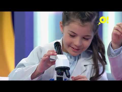 Миниатюра изображения товара Микроскоп оптический Bondibon ДУОскоп / ВВ2712