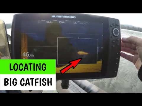 Locating Big Catfish - The Right Place at the Right Time with the Right Bait