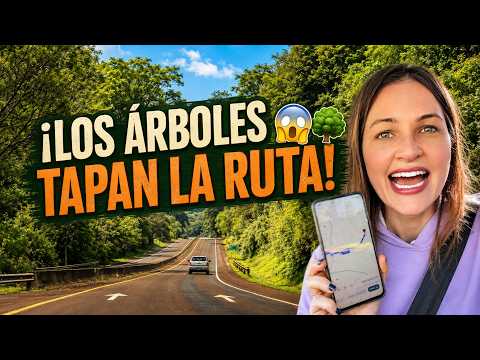 🌳 ¡NO PODÍAMOS CREER ESTA RUTA! Recorrimos San José, Misiones y encontramos algo increíble