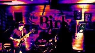 The Ty Curtis Band at The Birk - Gary Fountaine 