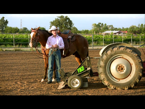 Sharon Camarillo’s Arena Drag – TR3 Rake