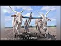 Tufaan Aalaya Farmers Marathi Status Song Shubham Borate SB