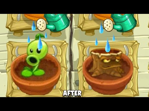 PvZ2 Sound Animation Fire Plants In Zen Garden.