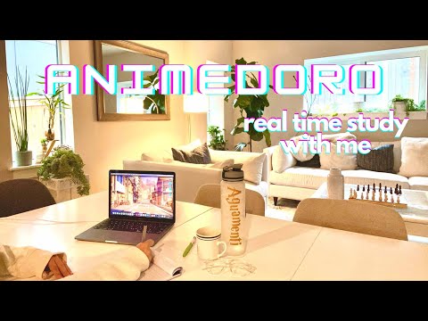 2 Hour Study With Me Animedoro | 45 min study/20 min break, background noise, real time, no music