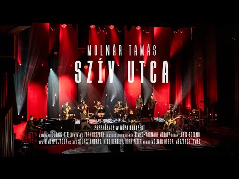 Molnár Tamás - Szív utca LIVE @ MÜPA Budapest