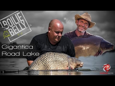 Carp fishing Gigantica road lake with Fatfish tackle.