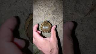 Miniature vidéo
