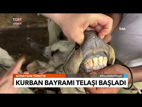 2025 Kurban Fiyatları Açıklandı!