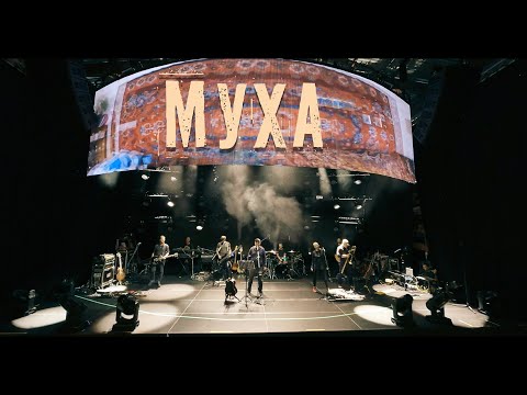 Video thumbnail for Муха (Fly)