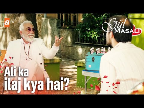 Ali, Love doctor ki madad chahta hai - Gul Masali Urdu