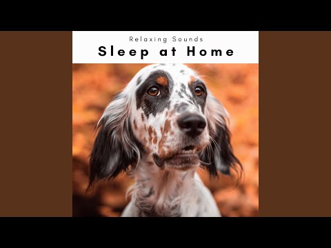 Soothing Sea Music Pt. 2