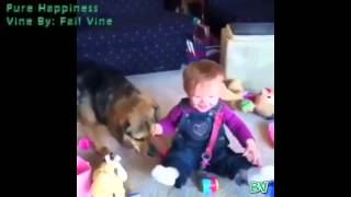Best Vines September 2013