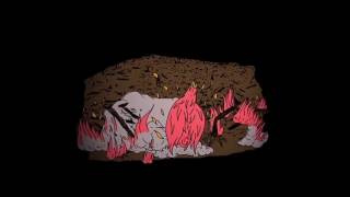 Spinetta y los Socios del Desierto - Jardín de gente