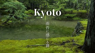 西芳寺 京都 雨の苔寺で禅を感じる Kyoto Saiho-ji (Kokedera) Temple, Feeling Zen. Rainy Moss Garden.