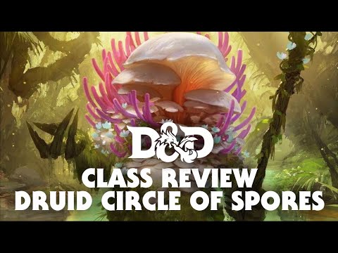 Druid Circle of Spores | D&D Subclass Review