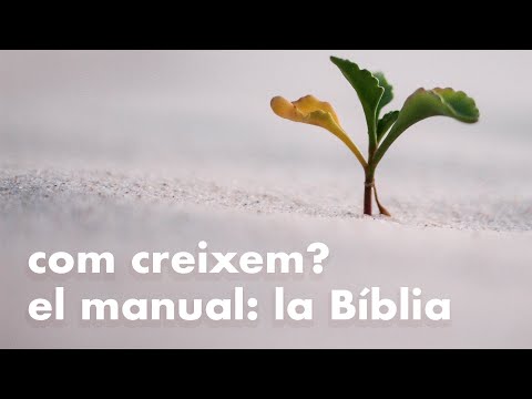 Lección 4: Profundizando en la espiritualidad
