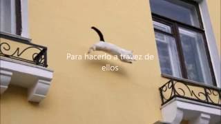 San Cisco - Girls do cry (Subtitulada en español)