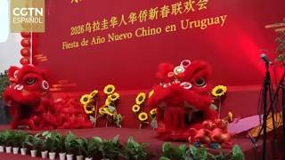 La comunidad china en Uruguay organizó un evento para dar la bienvenida al Año del Caballo