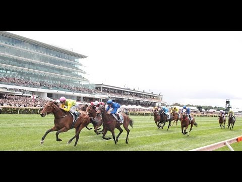 WAKEFUL STAKES-1 NOV FLEMINGTON