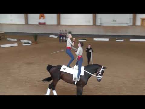 Bayerische Meisterschaften 2021 - Gruppenvoltigieren - Gruppe Ingelsberg II