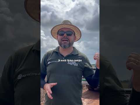 MÉDIO-NORTE DO MT | @rallydasafra