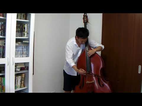 Miloslav Gajdos: Capriccio in D