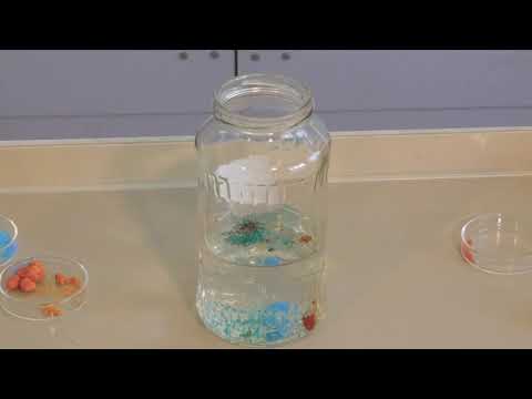 8. Kísérlet: Vegyész virágoskertje