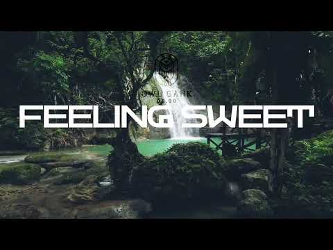 Feeling Sweet - OwlGank ft Dr.J 483 & Qiiba