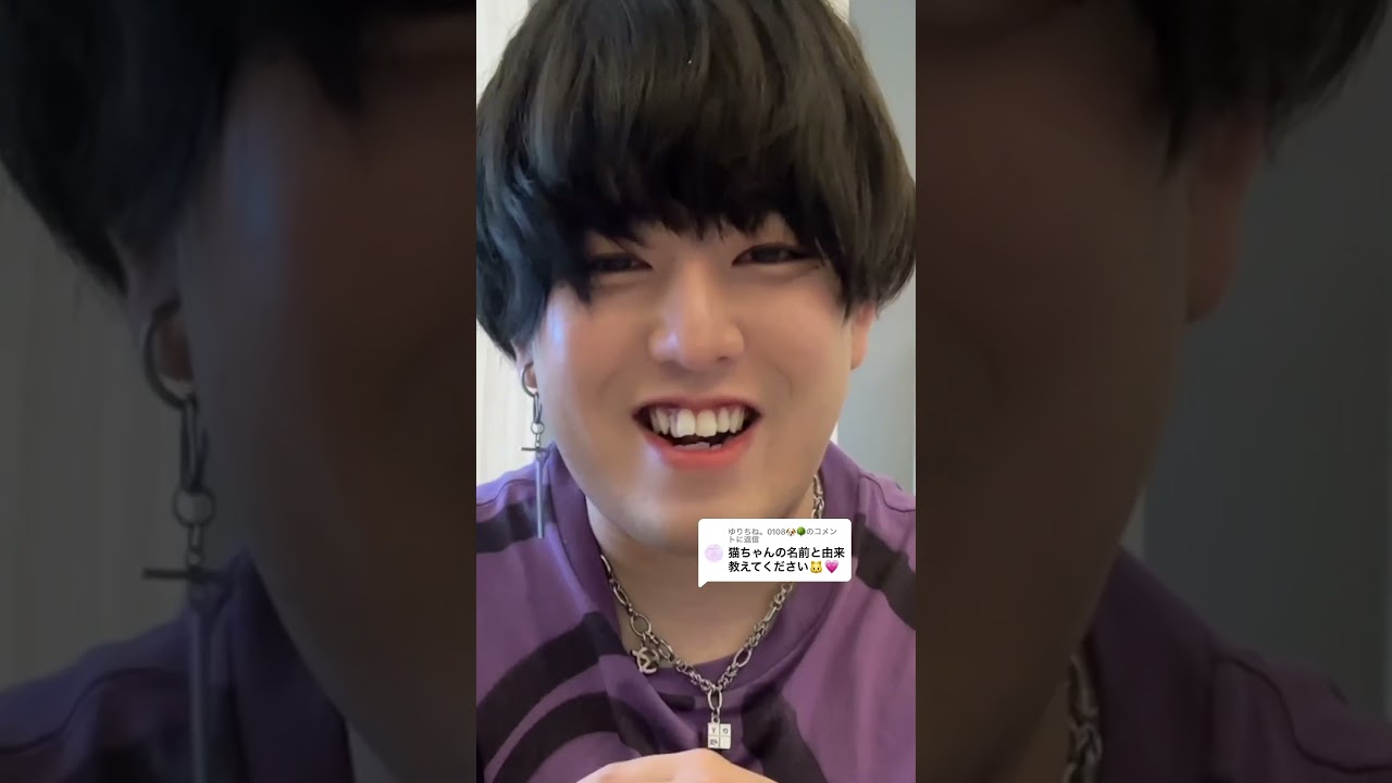 うちの可愛い住民たち✨️#ペット #ねこ #ねこのいる生活 #保護猫 #きぃ #くぅ