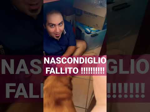 Nascondino in Casa contro Anna!! #shorts