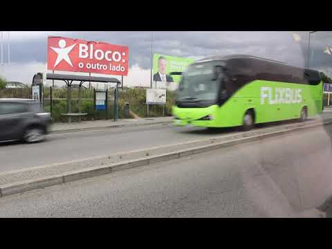 3236 STCP - MAN Lion's City NL313 CNG Caetanobus CityGold MAN 2KD - Linha / Line 904