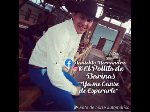 Ya me canse de esperarte el pollito de barinas