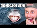 Most Viral Videos On TikTok