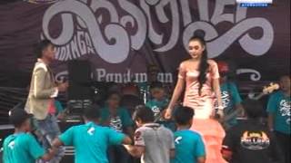 Download lagu Gerry Mahesa feat Gita- Ojo Salah Tompo New Pallapa mp3 Download lagu Gerry Mahesa feat Gita- Ojo Salah Tompo New Pallapa mp3