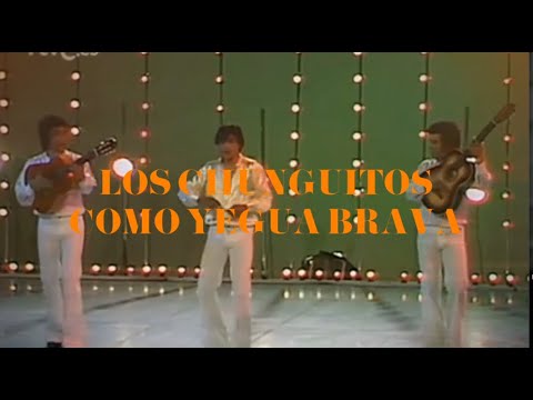 LOS CHUNGUITOS COMO YEGUA BRAVA(REMIX)