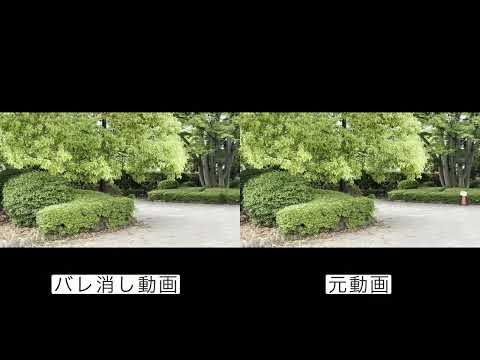 動画に写り込んだ不要なものを消します イメージ1